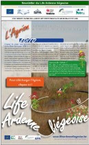 news auot2016 VIGNETTE